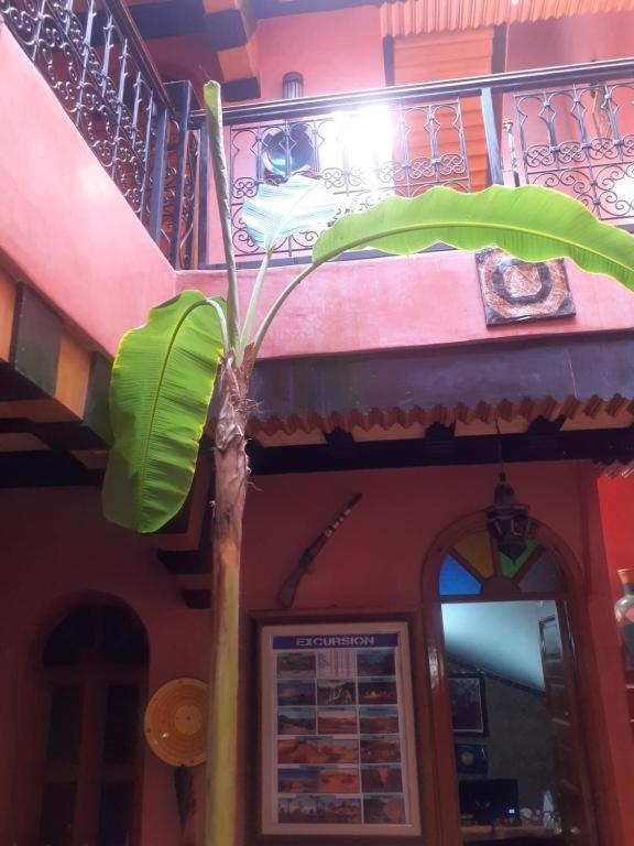 Riad Hanafi Marrakesh Luaran gambar